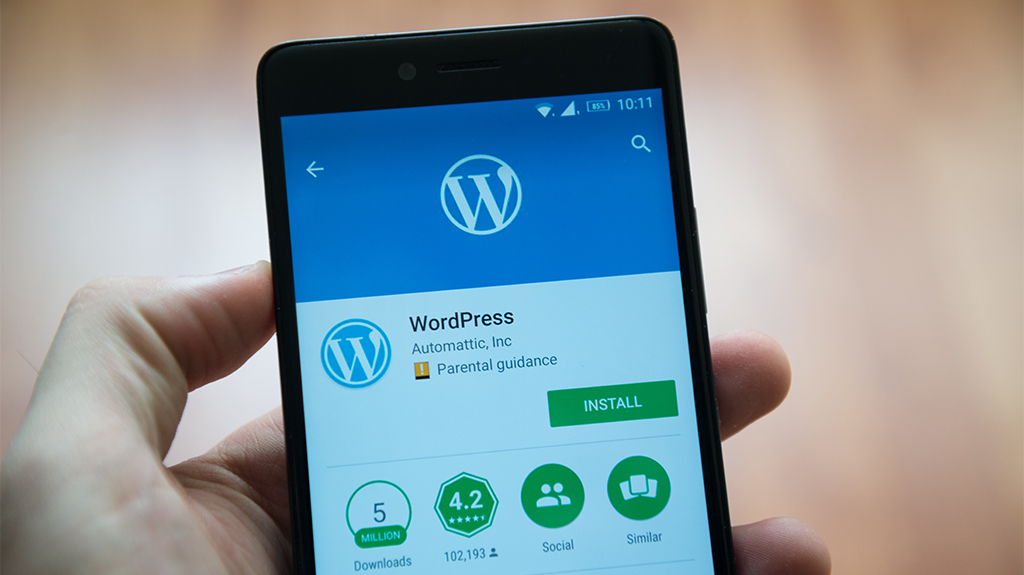 wordpress-consulting-services